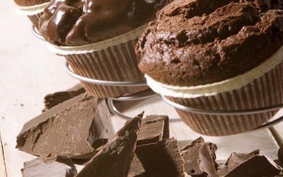 Choco Muffins